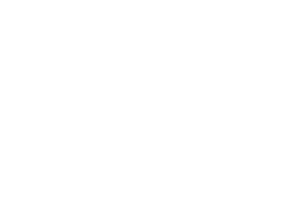 Žvynas ir plaukas
